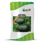 pan-ishana-2054