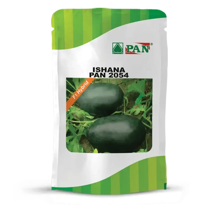 pan-ishana-2054