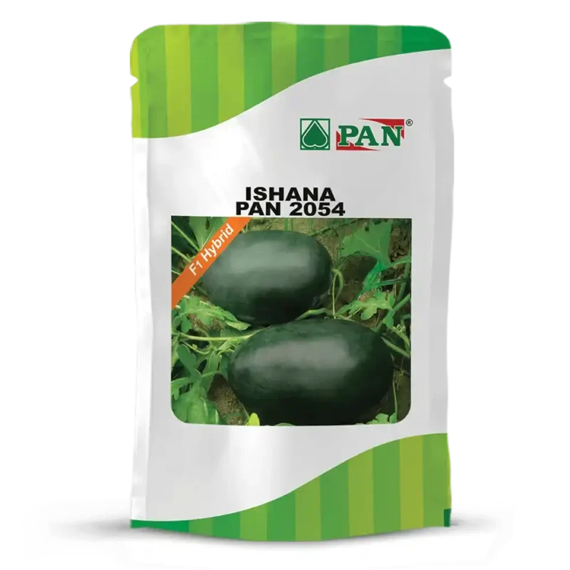 pan-ishana-2054