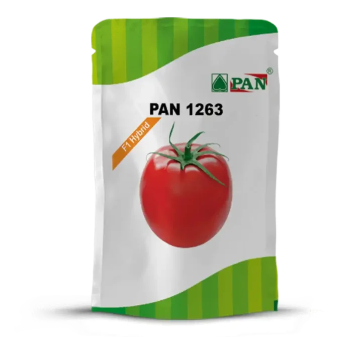 pan_1263