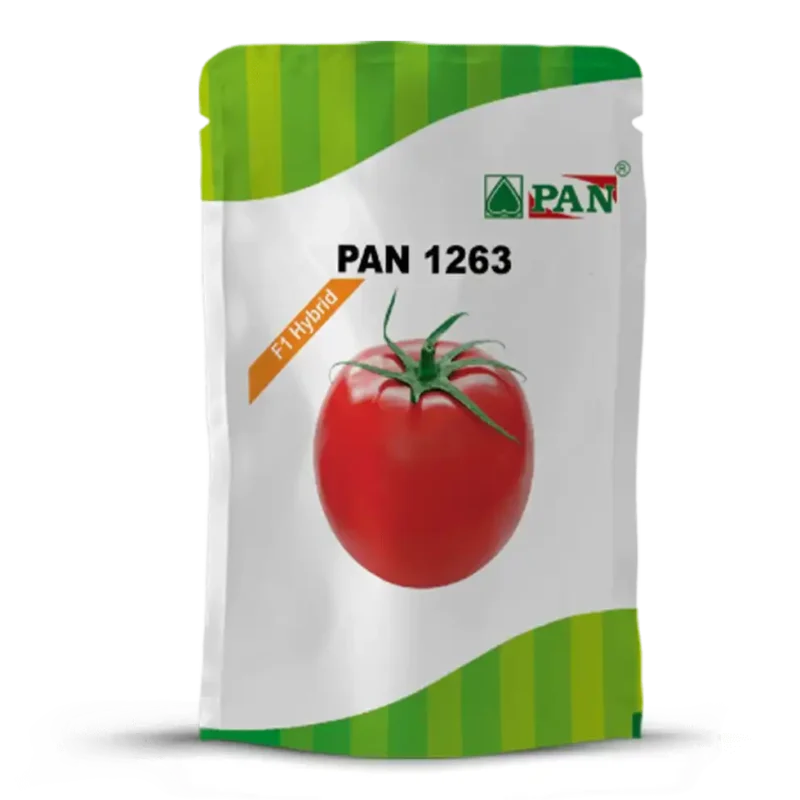 pan_1263