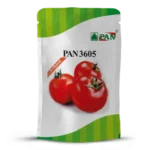 pan_3605