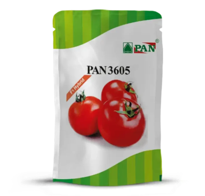 pan_3605
