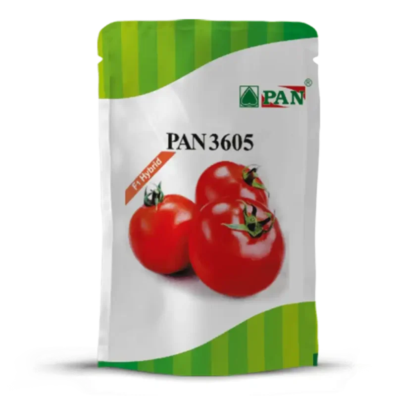 pan_3605