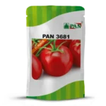 pan_3681