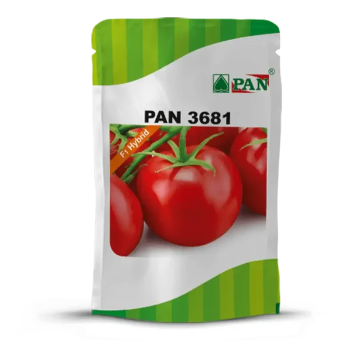 pan_3681