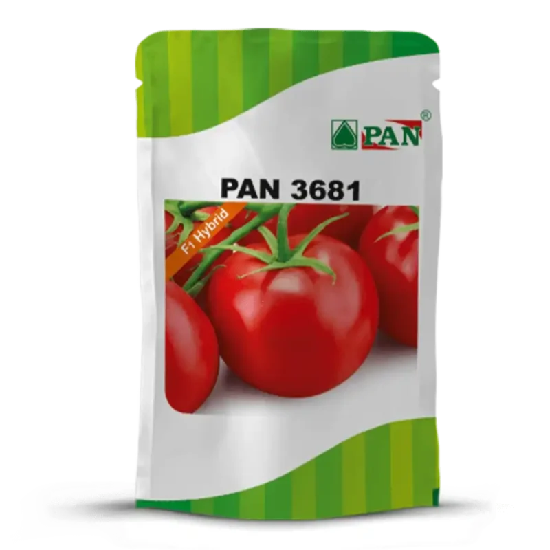 pan_3681