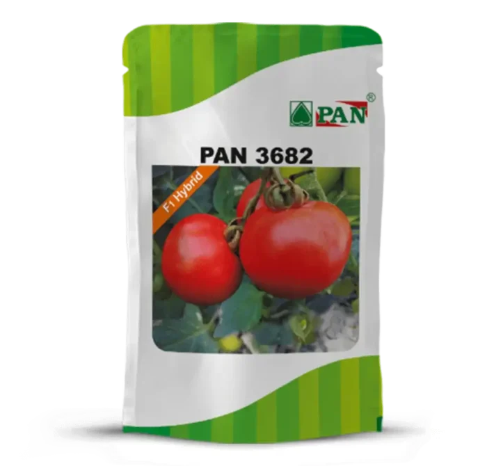 pan_3682