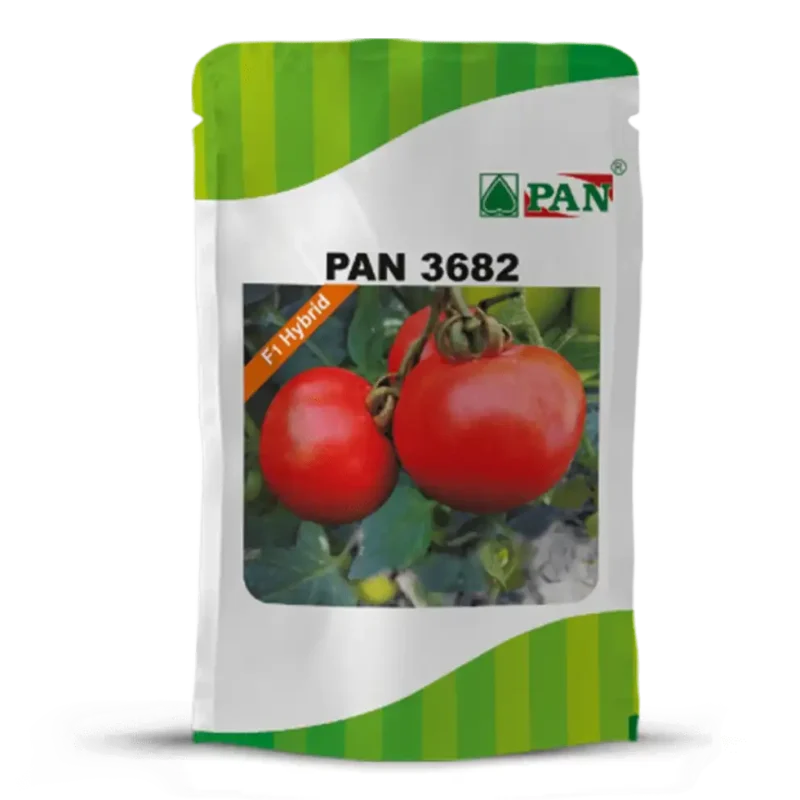 pan_3682