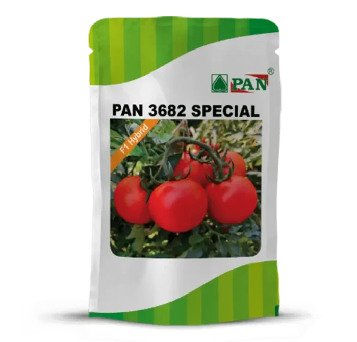 pan_3682_special