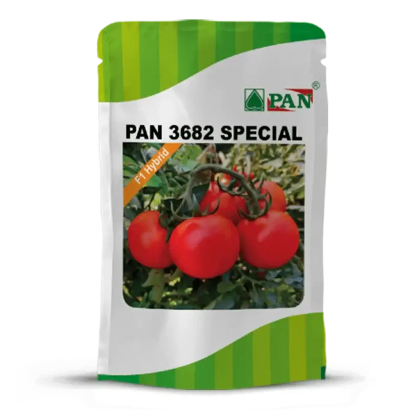 pan_3682_special