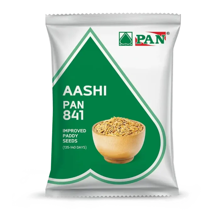 pan_841