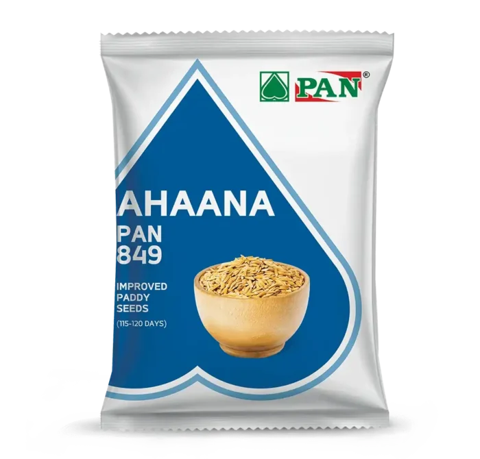 pan_849