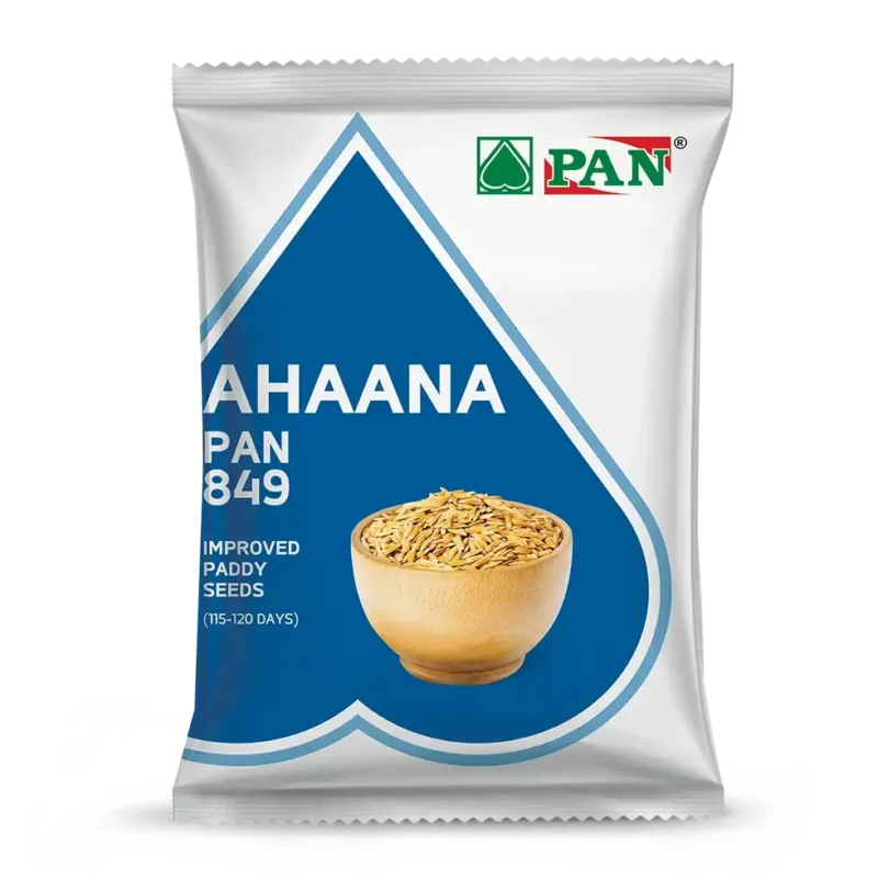 pan_849