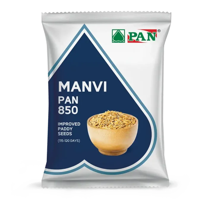 pan_850