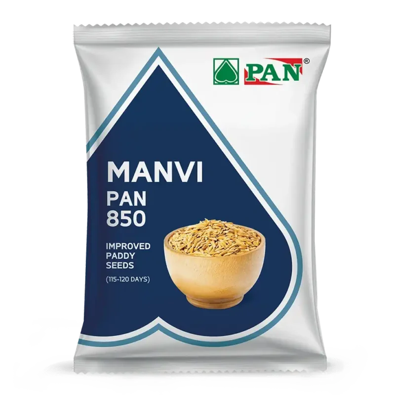 pan_850