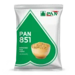 pan_851