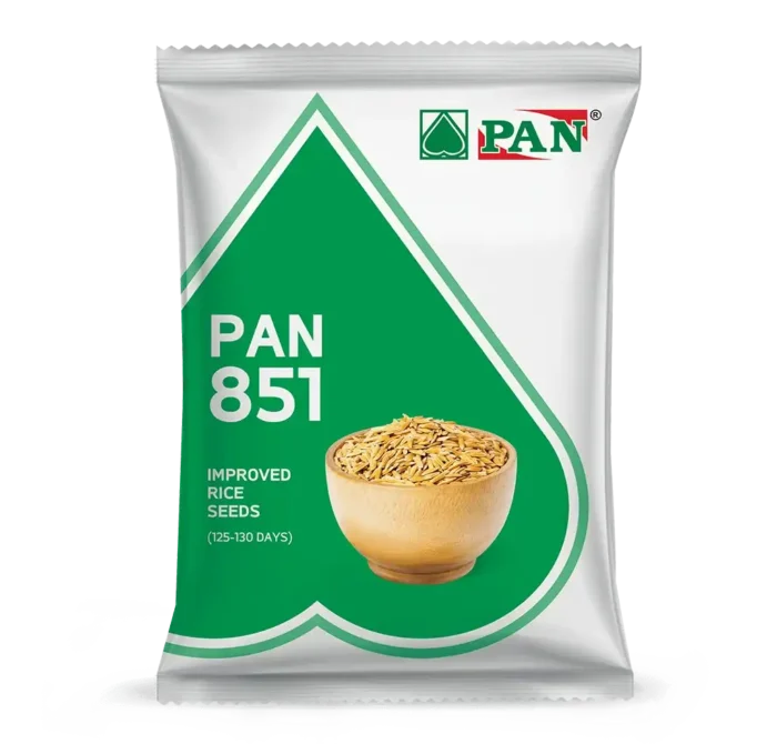 pan_851