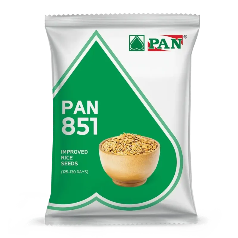pan_851