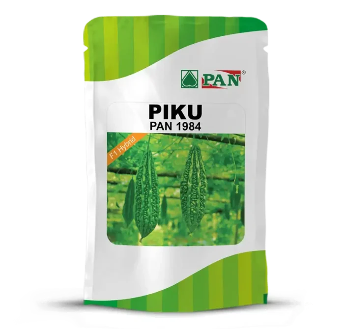 piku_1984