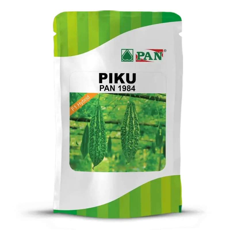 piku_1984