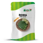 roma_2215