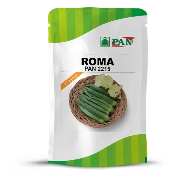 roma_2215