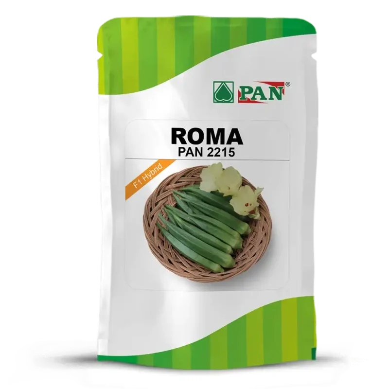 roma_2215