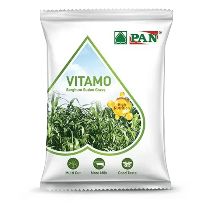vitamo