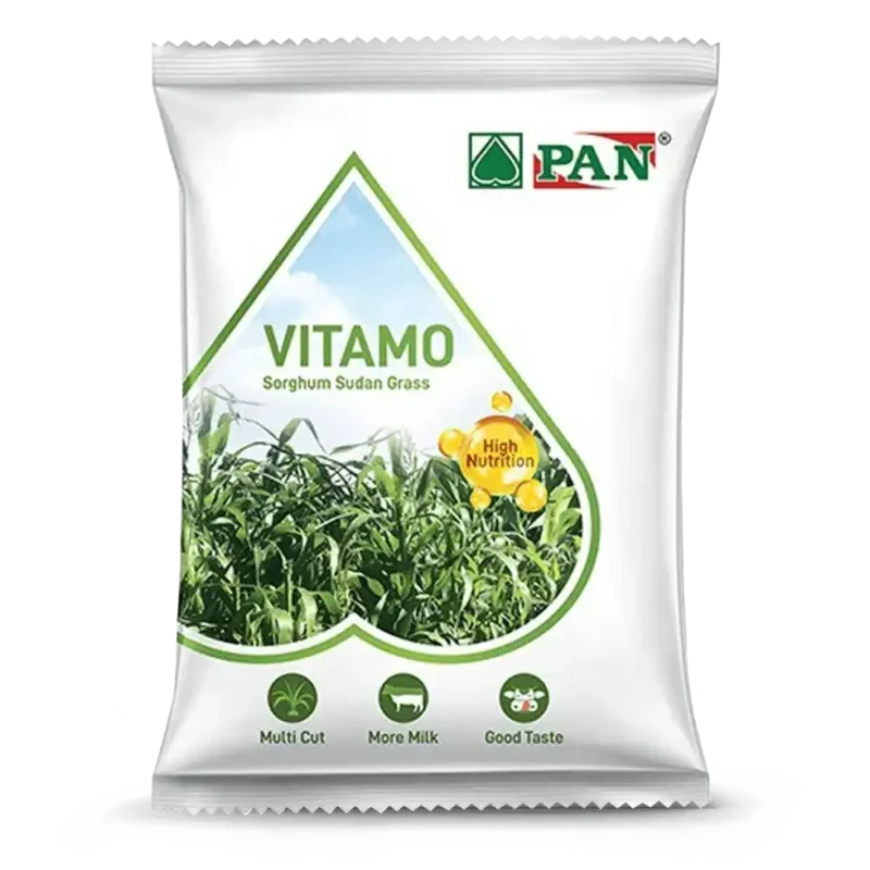 vitamo