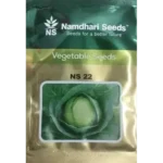 NS22