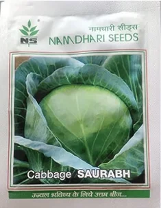 saurabh-cabbage-seeds