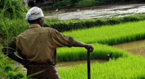 Farmer1
