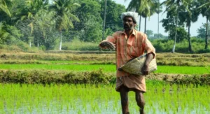 Farmer3