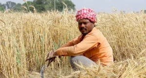 Farmer4